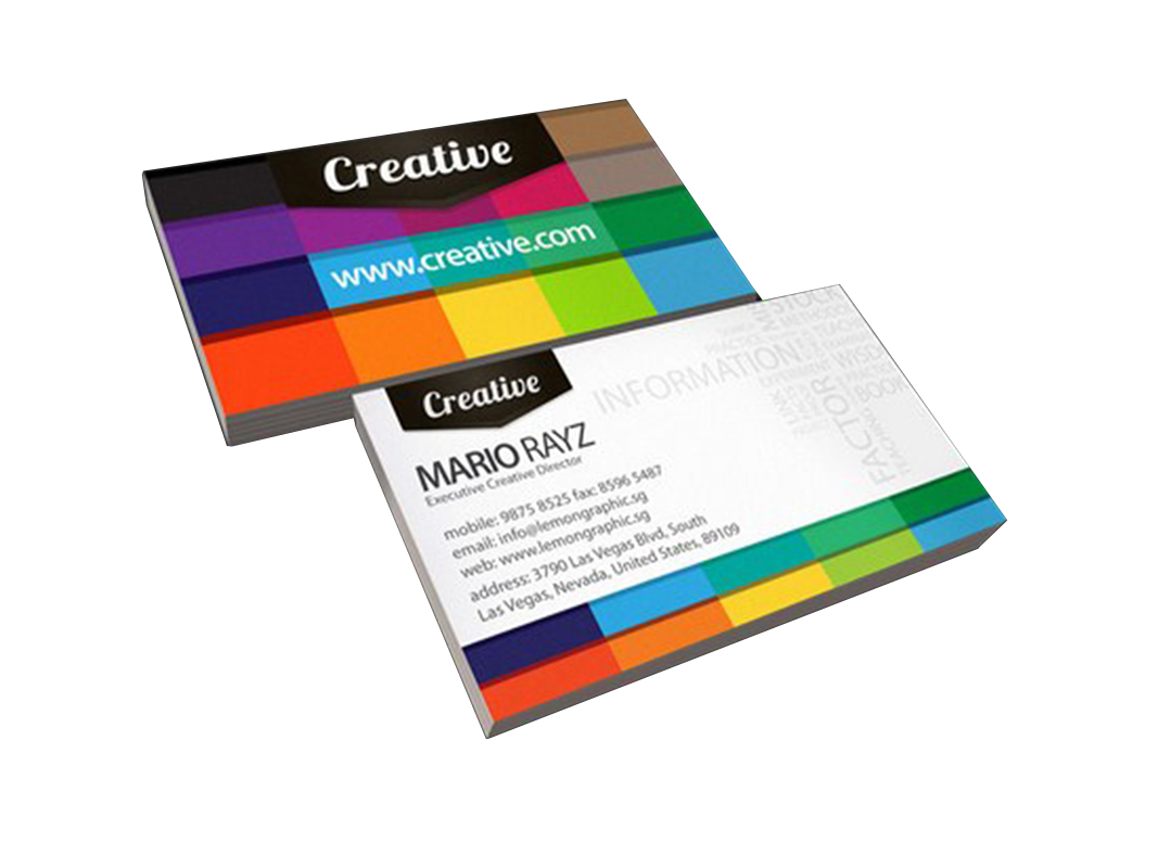 Special Business Card Printing in China SWP22-11