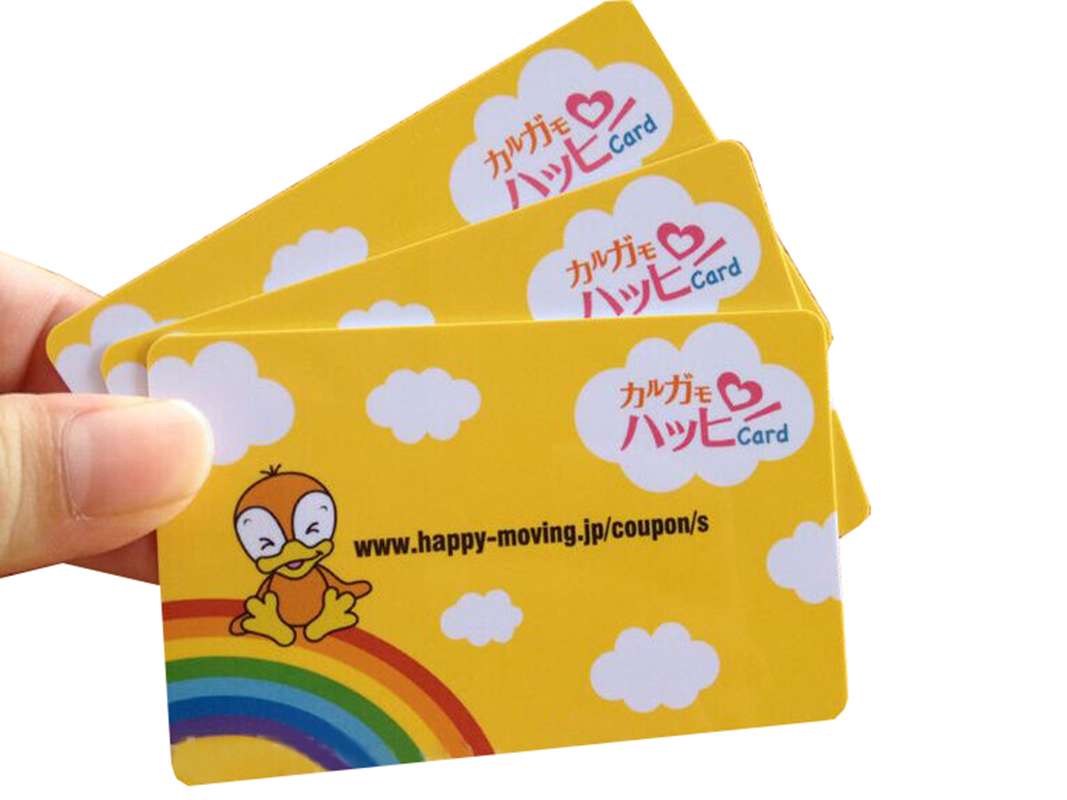 High quality PVC card printing in China SWP21-4