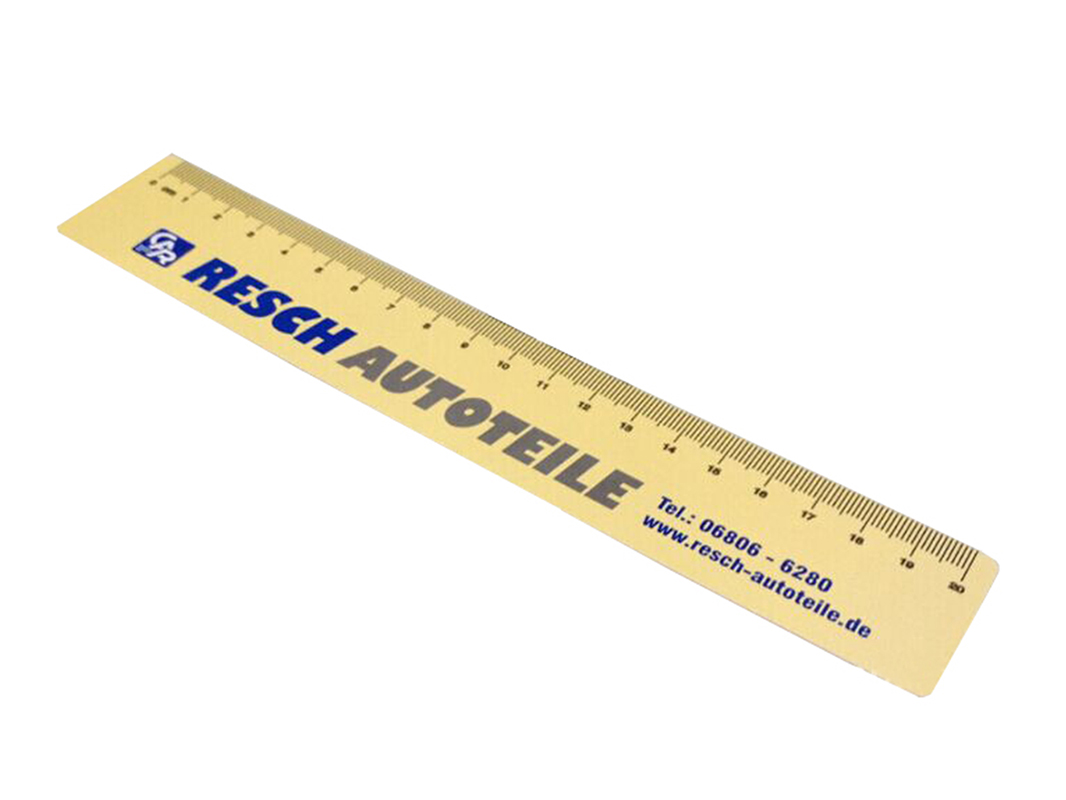 High quality Ruler printing with company logo in China SWP25-3