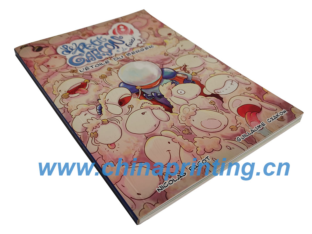 France softcover children book printing in China 2015 SWP3-24