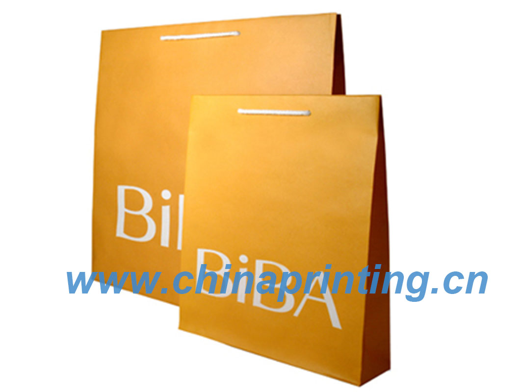 High Quality paper bag printing with nylon handle SWP11-13
