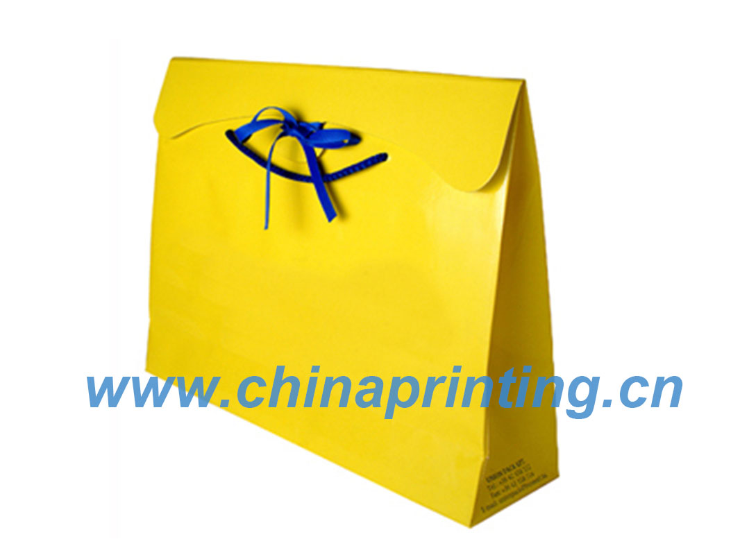 High Quality Gift paper bag printing in China SWP11-21
