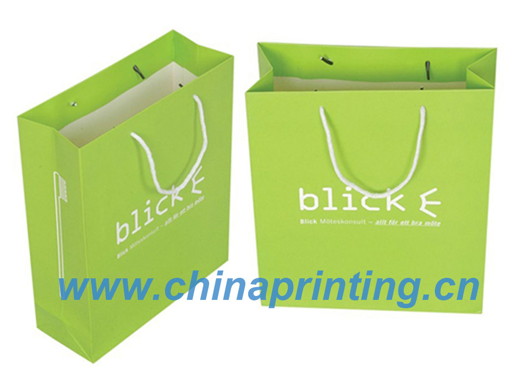 Green Art Paper Bags Printing In China SWP11-29