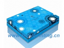 Gift Paper Box Printing  with cover and bottom SWP13-2