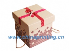 High quality Gift Paper Box Printing at low cost SWP13-1