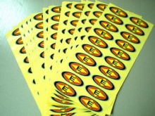Matte Laminated  Ads stickers printing in China SWP26-5