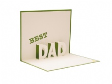 Greeting cards printing in China for Father's Day SWP20-10