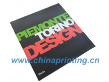 High Quality Brochure Printing in China for Italian client SWP6-7