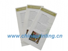 High Quality Z Folder Brochures Printing in China SWP6-9