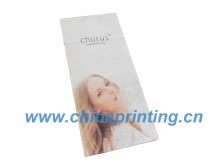 High Quality Canadian Brochure Printing in China SWP6-14