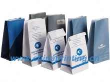 High quality  sickness paper bag printing in China SWP9-6