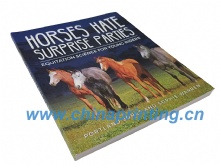 Australian Horses hate book printing in China 2016 SWP2-15