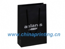 High Quality Nice art paper printing in China SWP11-19