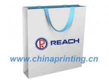 Very Nice White Gloss Art Paper Printing In China  SWP11-30