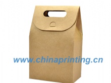 Die Cut Kraft Paper Bag Printing in China SWP8-22